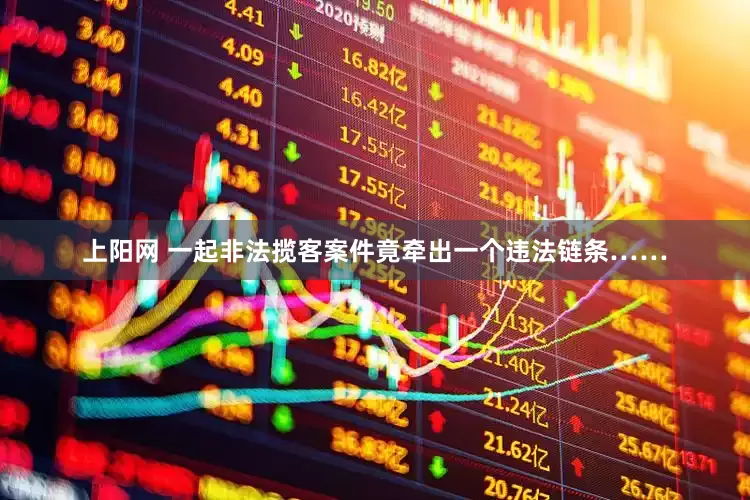 上阳网 一起非法揽客案件竟牵出一个违法链条……
