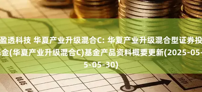 盈透科技 华夏产业升级混合C: 华夏产业升级混合型证券投资基金(华夏产业升级混合C)基金产品资料概要更新(2025-05-30)