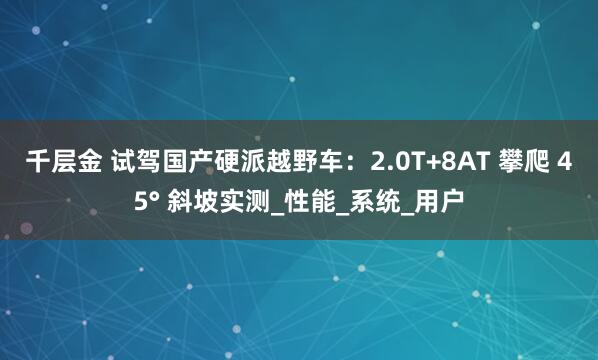 千层金 试驾国产硬派越野车：2.0T+8AT 攀爬 45° 斜坡实测_性能_系统_用户