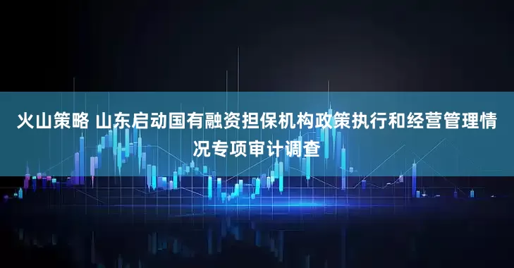 火山策略 山东启动国有融资担保机构政策执行和经营管理情况专项审计调查
