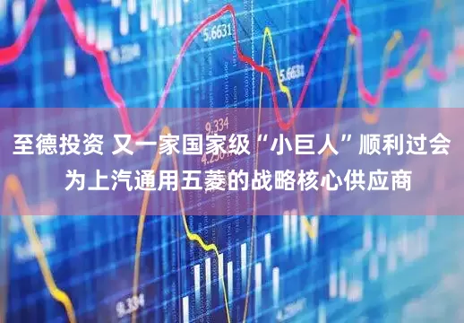 至德投资 又一家国家级“小巨人”顺利过会  为上汽通用五菱的战略核心供应商